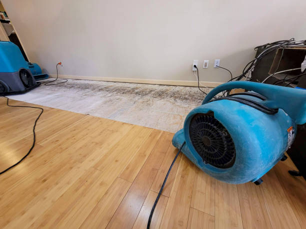 Professional Ceiling Water Damage Repair technician working in Coupeville, WA
